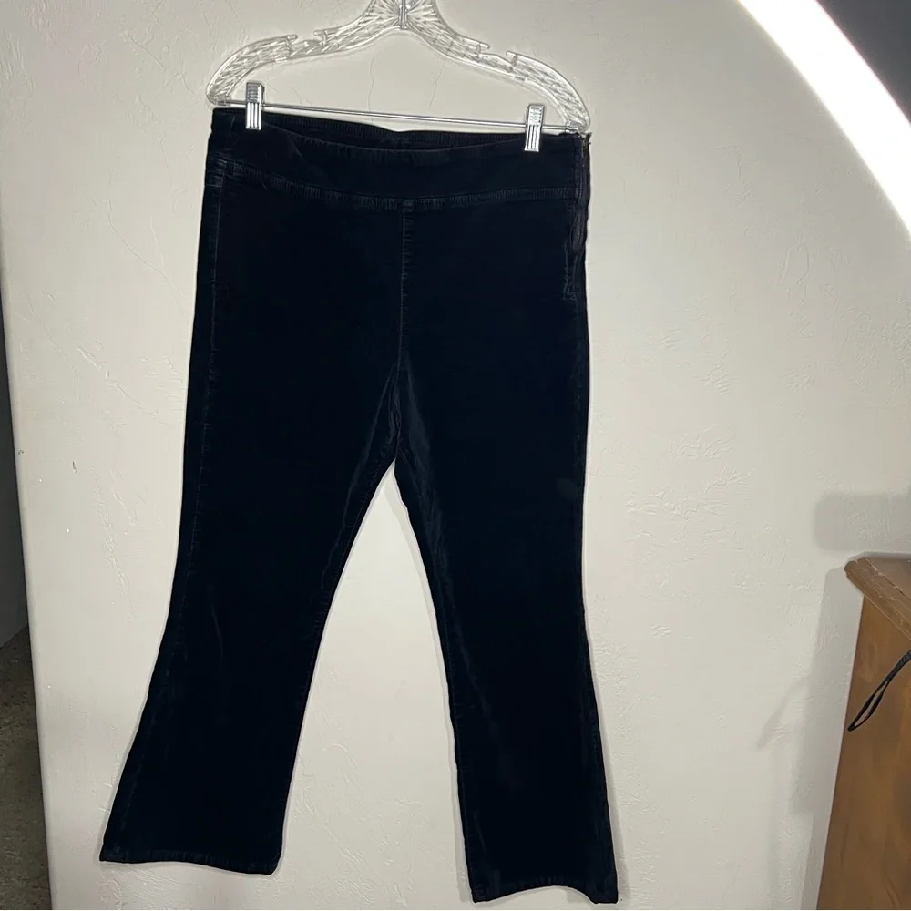 Free People Black In My Feelings Cropped Slim‎ Velvet Flare Pants